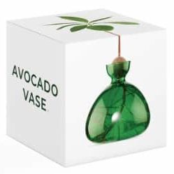 Avocado Vase Box