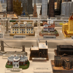 Curating the Code: The Secrets Behind Accession Numbers