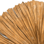 Adopt an Artifact: Pension Building Hand Fan
