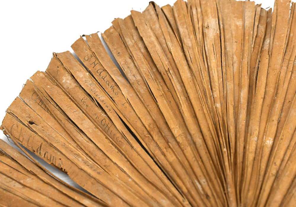 Detail image of historic hand fan.