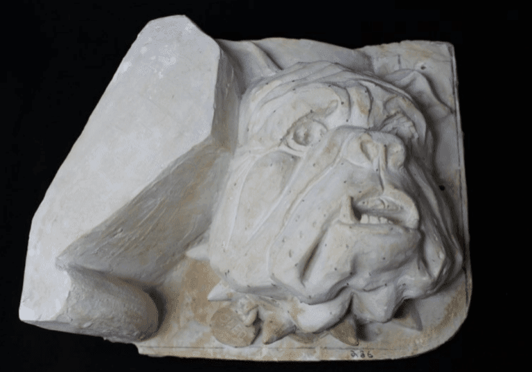Plaster cast of a dog head.