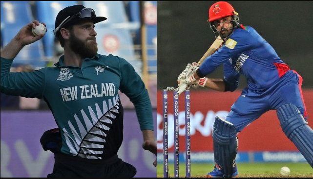 New Zealand Vs Afghanistan Highlights
