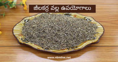 cumin seeds benefits in telugu