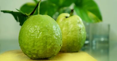 Guava Benefits in telugu nbmlive