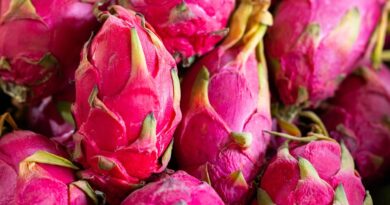 Dragon fruit health benefits